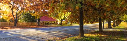 Finch Street - Beechworth - VIC (PBH4 00 13933)